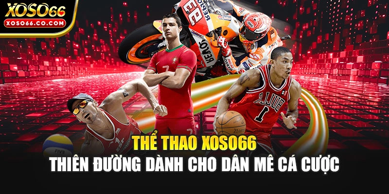 Thể Thao XOSO66 - Thiên Đường Dành Cho Dân Mê Cá Cược